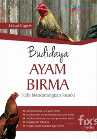 Image of Budidaya Ayam Birma : Hobi Mendatangkan rezeki